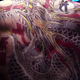 Imagen para el artículo titulado El significado de los tatuajes de Yakuza